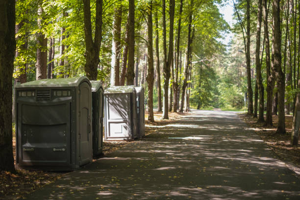Best Affordable portable toilet rental  in Watkins Glen, NY